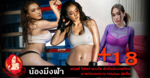 หน้าปก Nomdeng