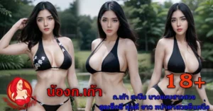 หน้าปก-Nomdeng_result