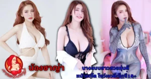 หน้าปก Nomdeng copy