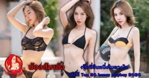 หน้าปก Nomdeng copy