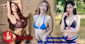 หน้าปก Nomdeng copy
