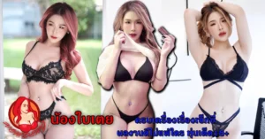 หน้าปก Nomdeng copy