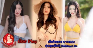 หน้าปก Nomdeng copy