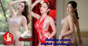 หน้าปก Nomdeng copy