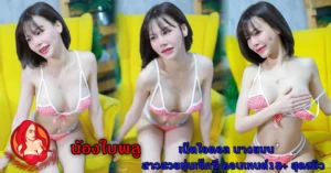 หน้าปก Nomdeng copy