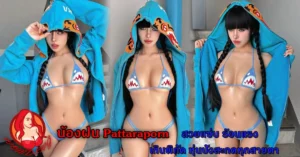 หน้าปก Nomdeng copy